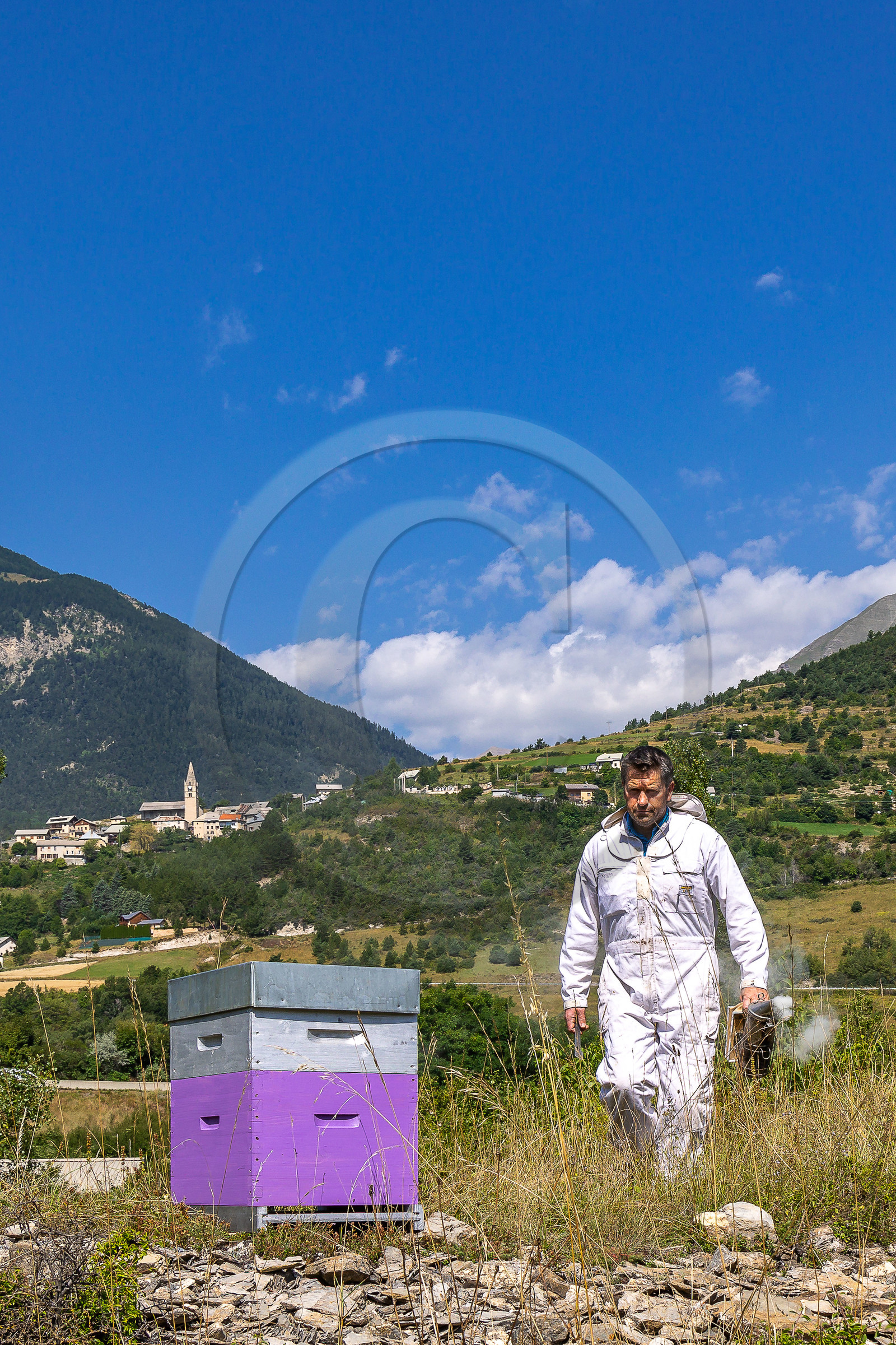 Jean-Jacques Daubert - Apiculteur