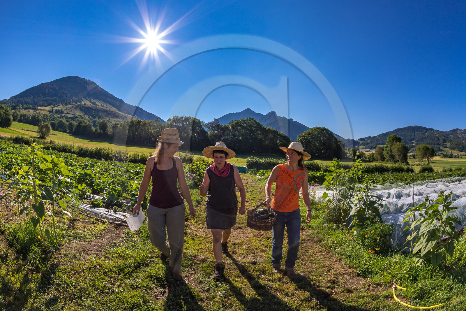 LéguMontagne, Sylvie Jaussaud et  Bertille Gieu, Maraîchères bio