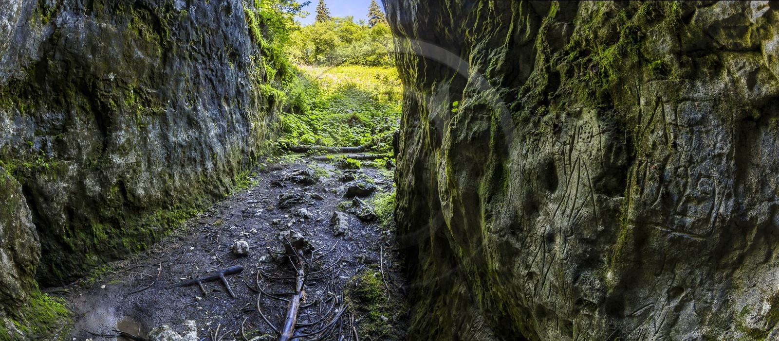 ENS de l'Isère, Plateau de la Molière et du Sornin, Le Puits aux Ecritures, gravures rupestres