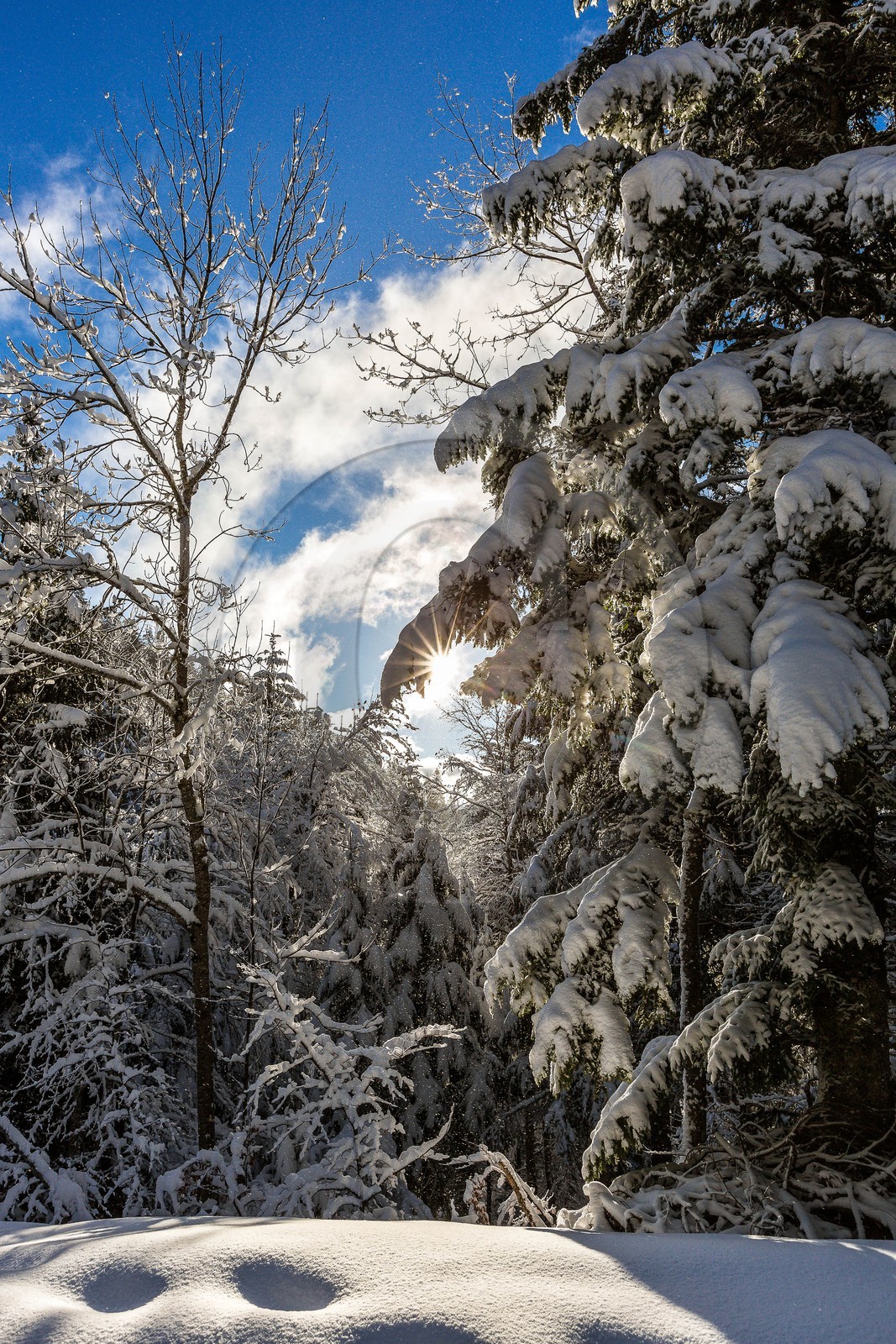 Espace naturel sensible de l'Isère, Col du Coq