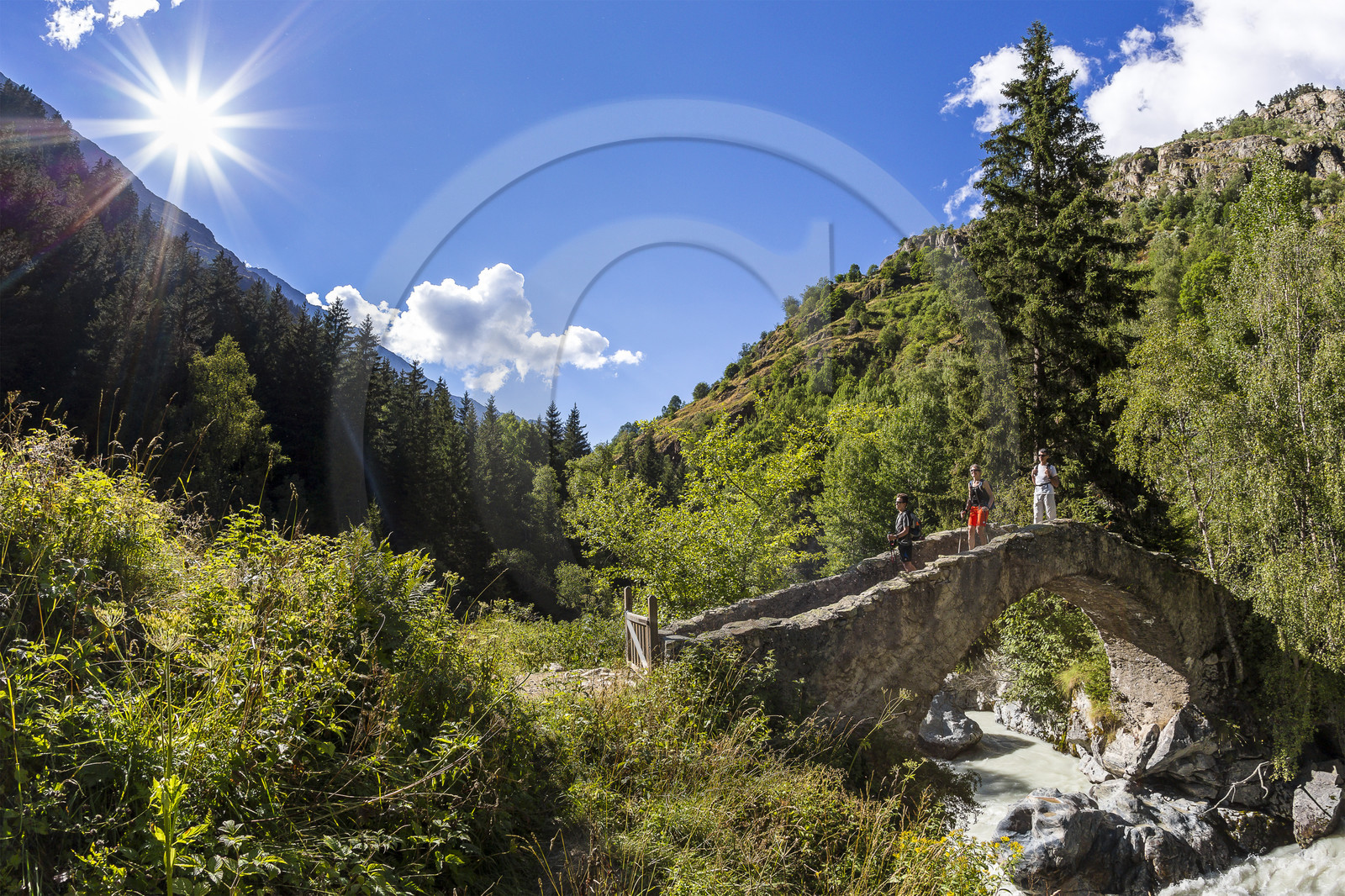 Randonnée pédestre