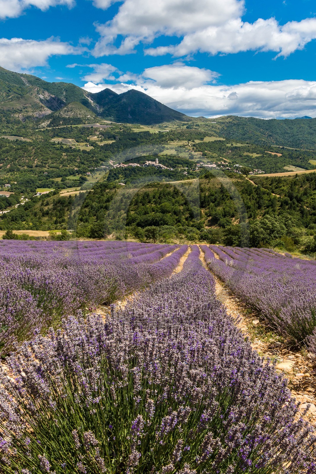 vallée des Duyes, Thoard