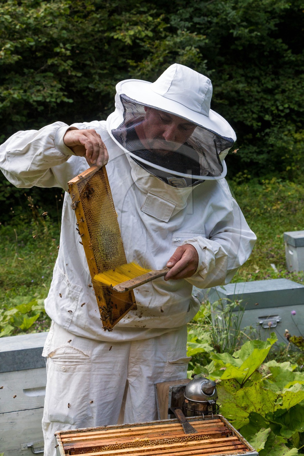 Vallée du Champsaur, miellerie Challet, Geoffrey Challet apiculteur