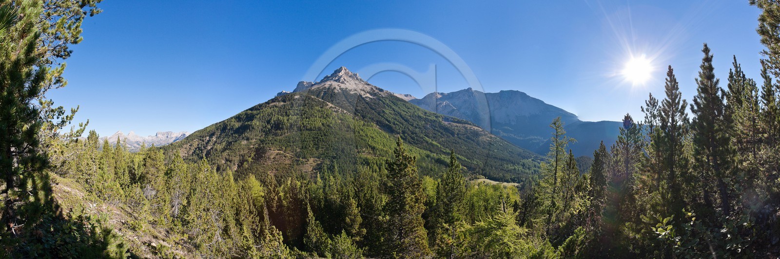 Forêt domaniale des Sauvas