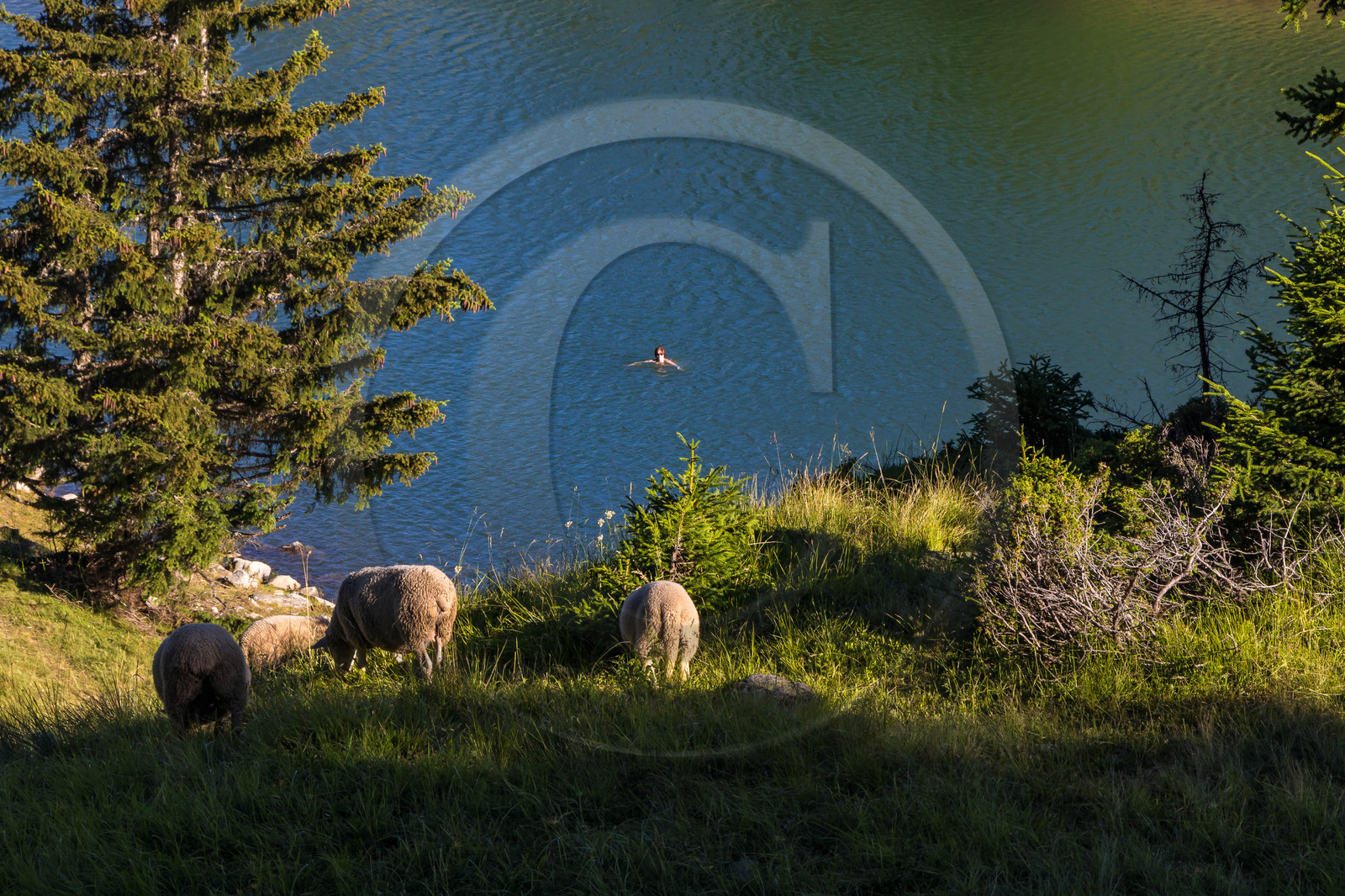 Lac de la Grande Léchère