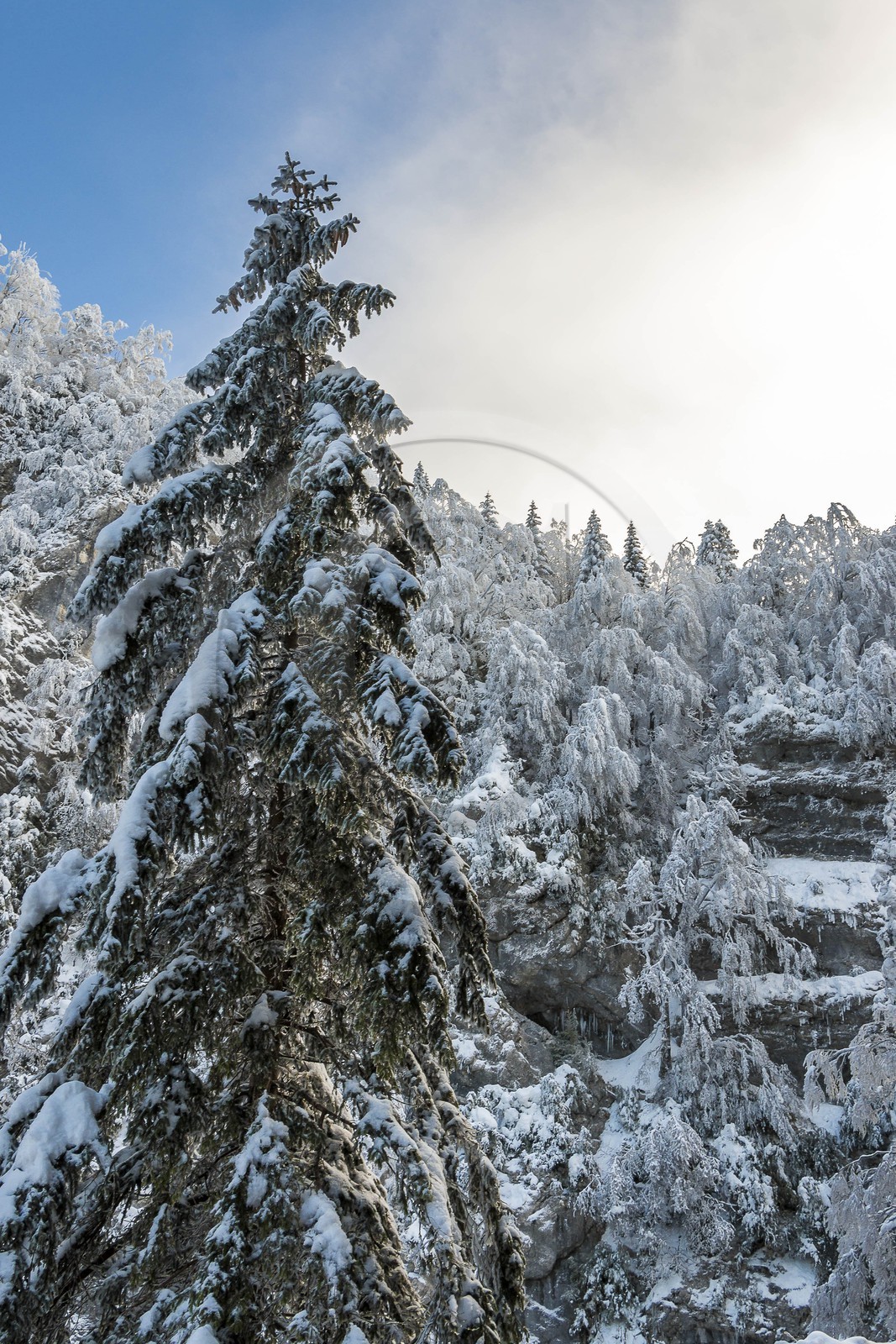 ENS de l'Isère, Les Ecouges