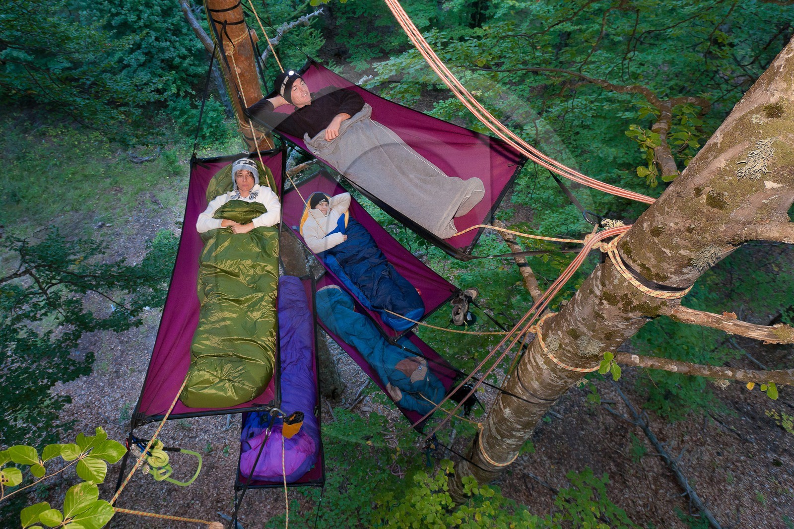 Bivouac dans les arbres