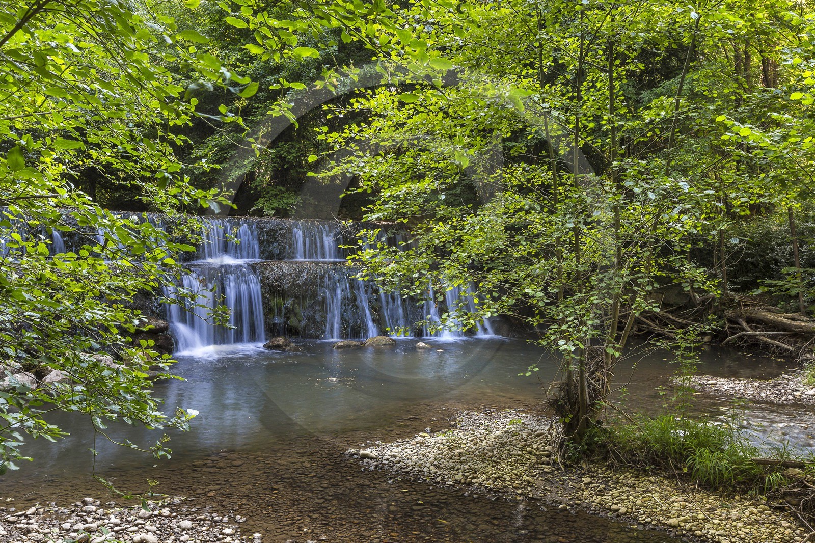 ENS de l'Isère, Zone humide de la Merlière