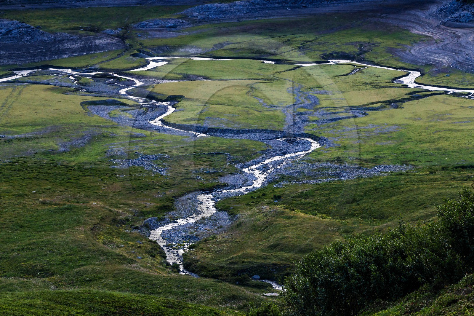 alpages du lac du Mont-Cenis