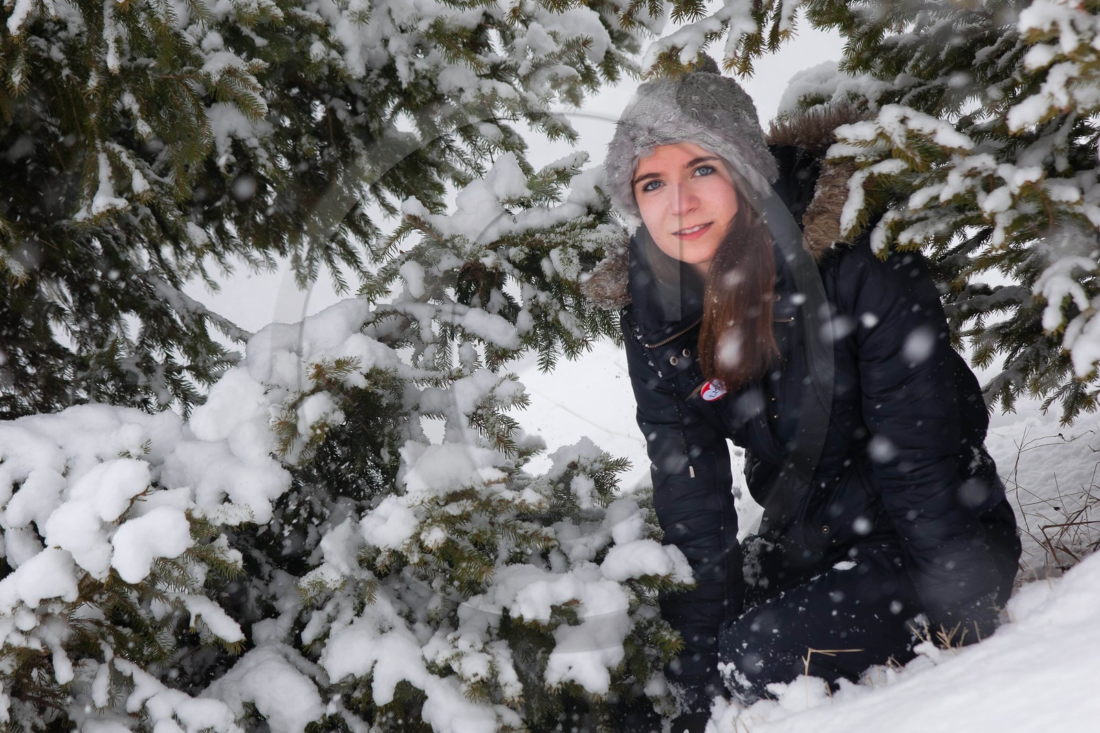 Hiver, randonnée balade sous la neige