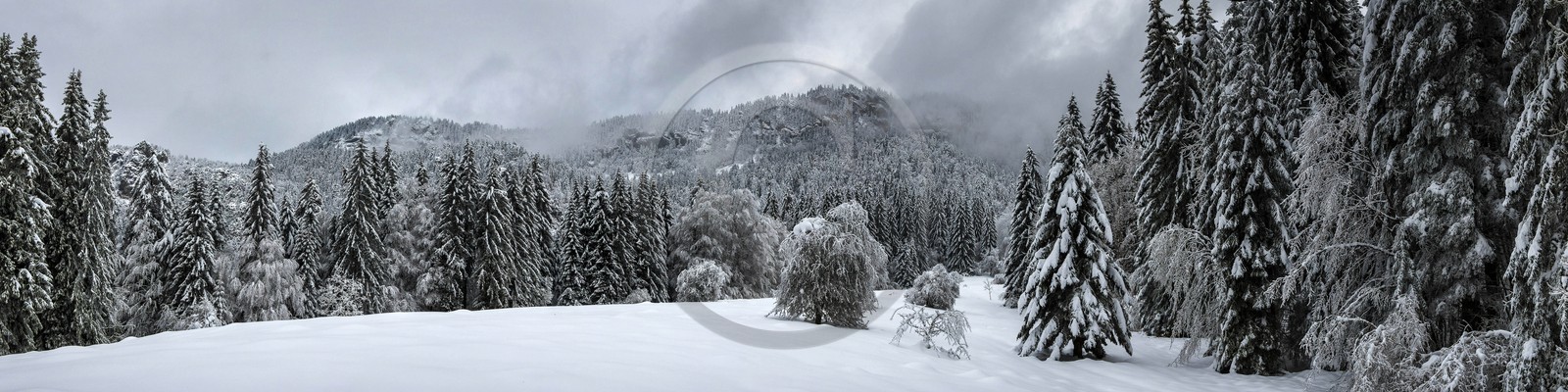 ENS de l'Isère, Les Ecouges