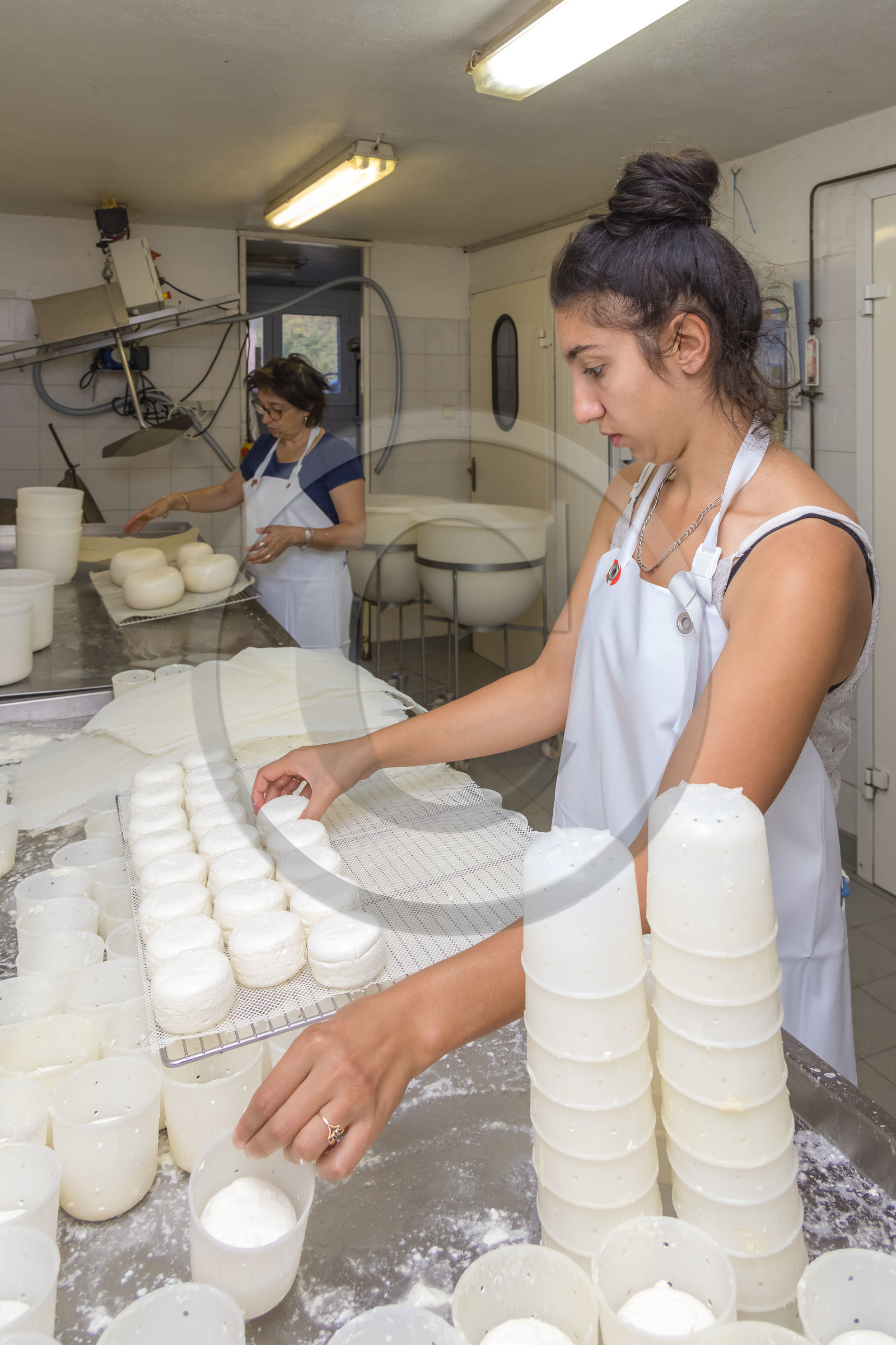 Gaec La Ferme des Ecrins