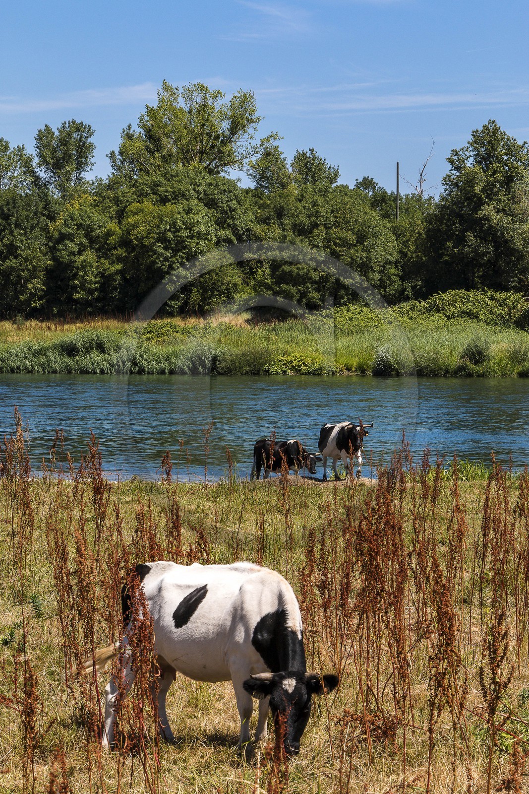 ENS de l'Isère, , le méandre des Oves