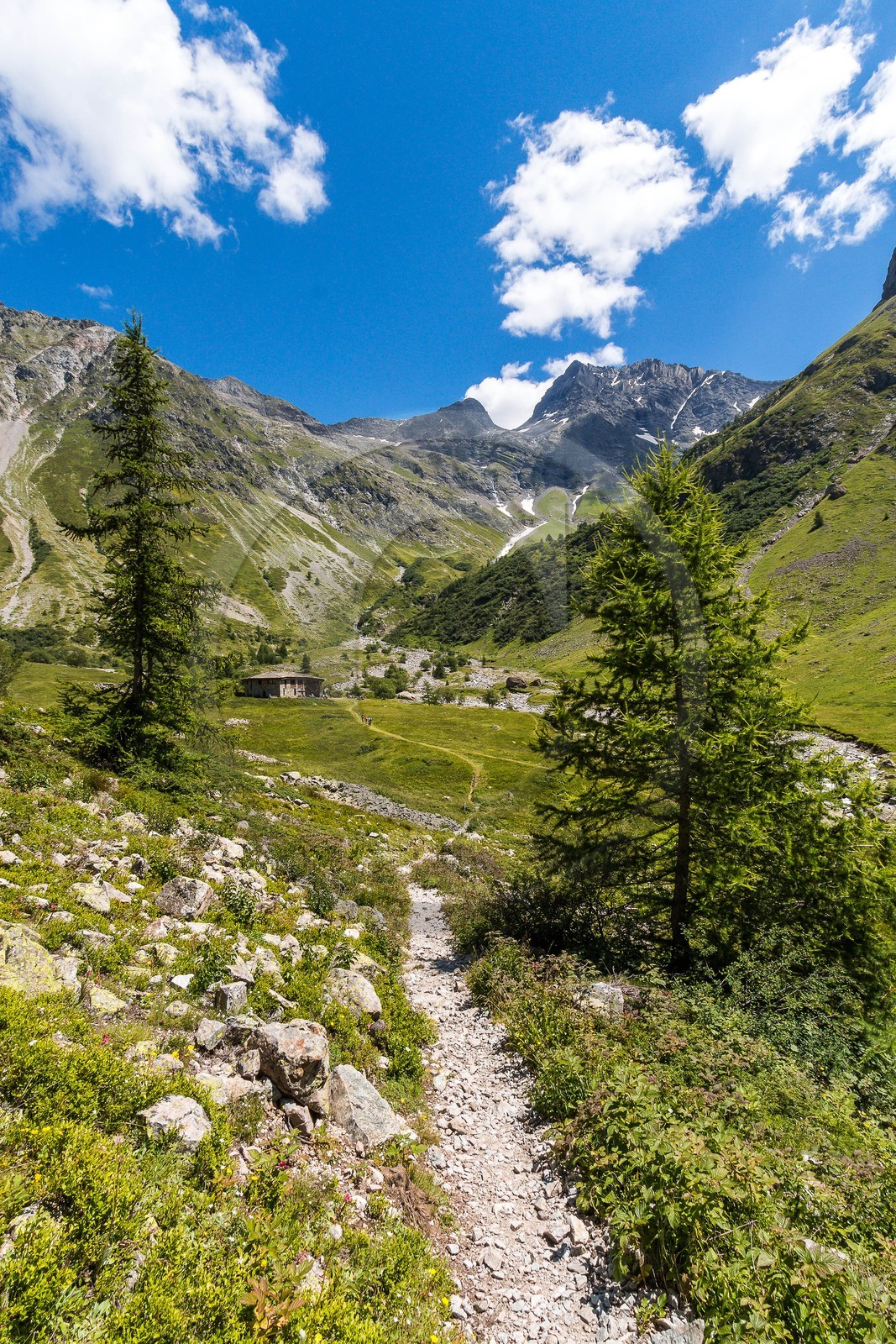 Vallée de Champoléon