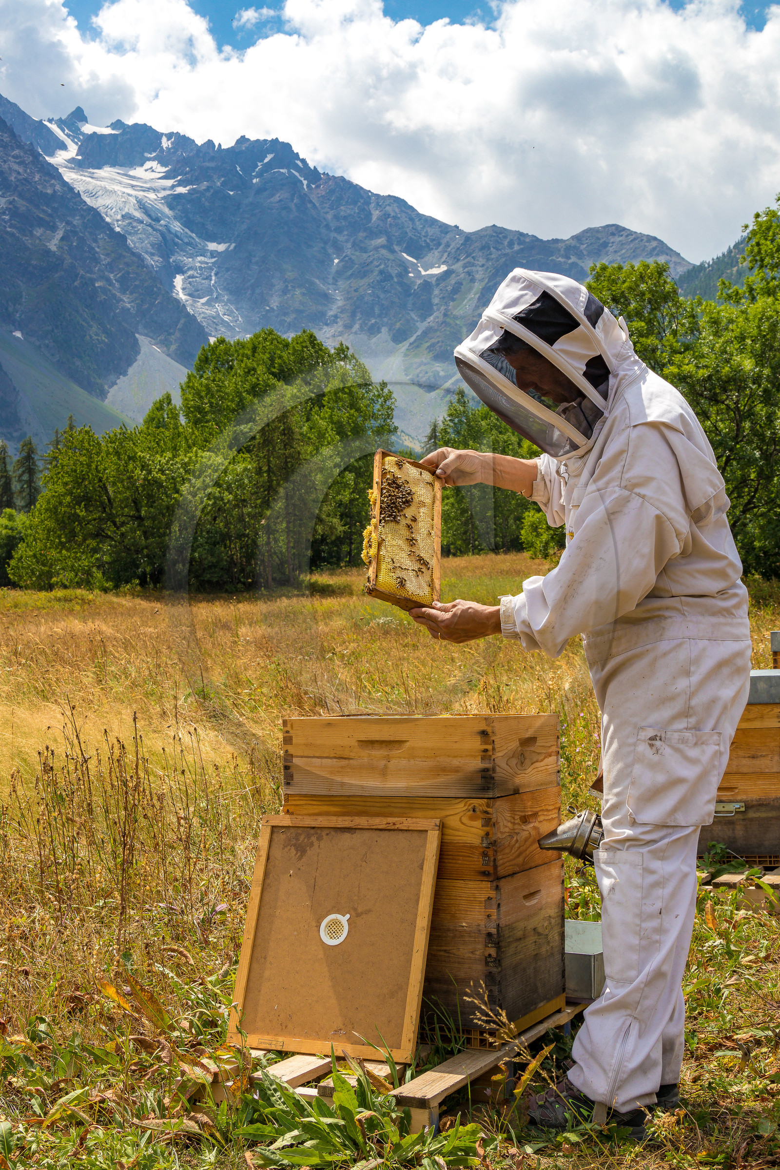 Miellerie de Serre Chevalier