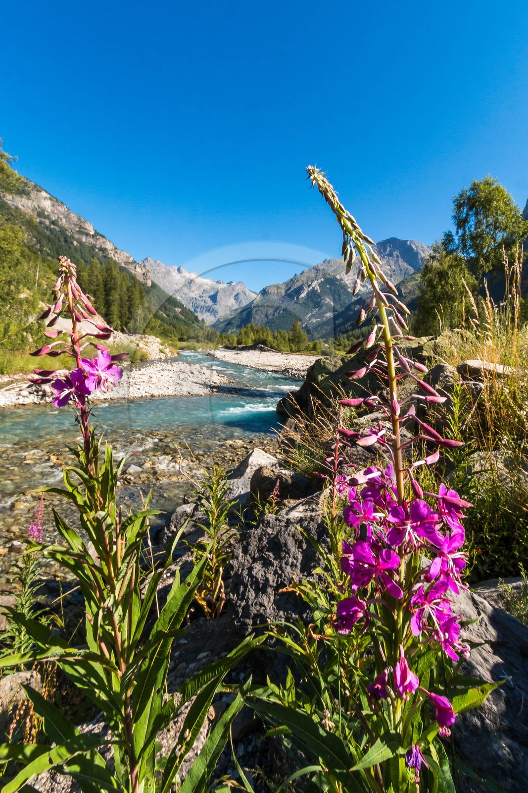 Vallée de Champoléon