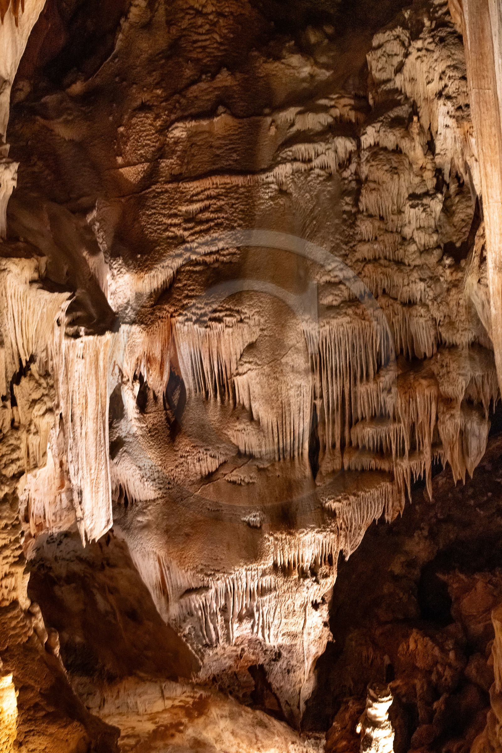 Grotte de Dargilan