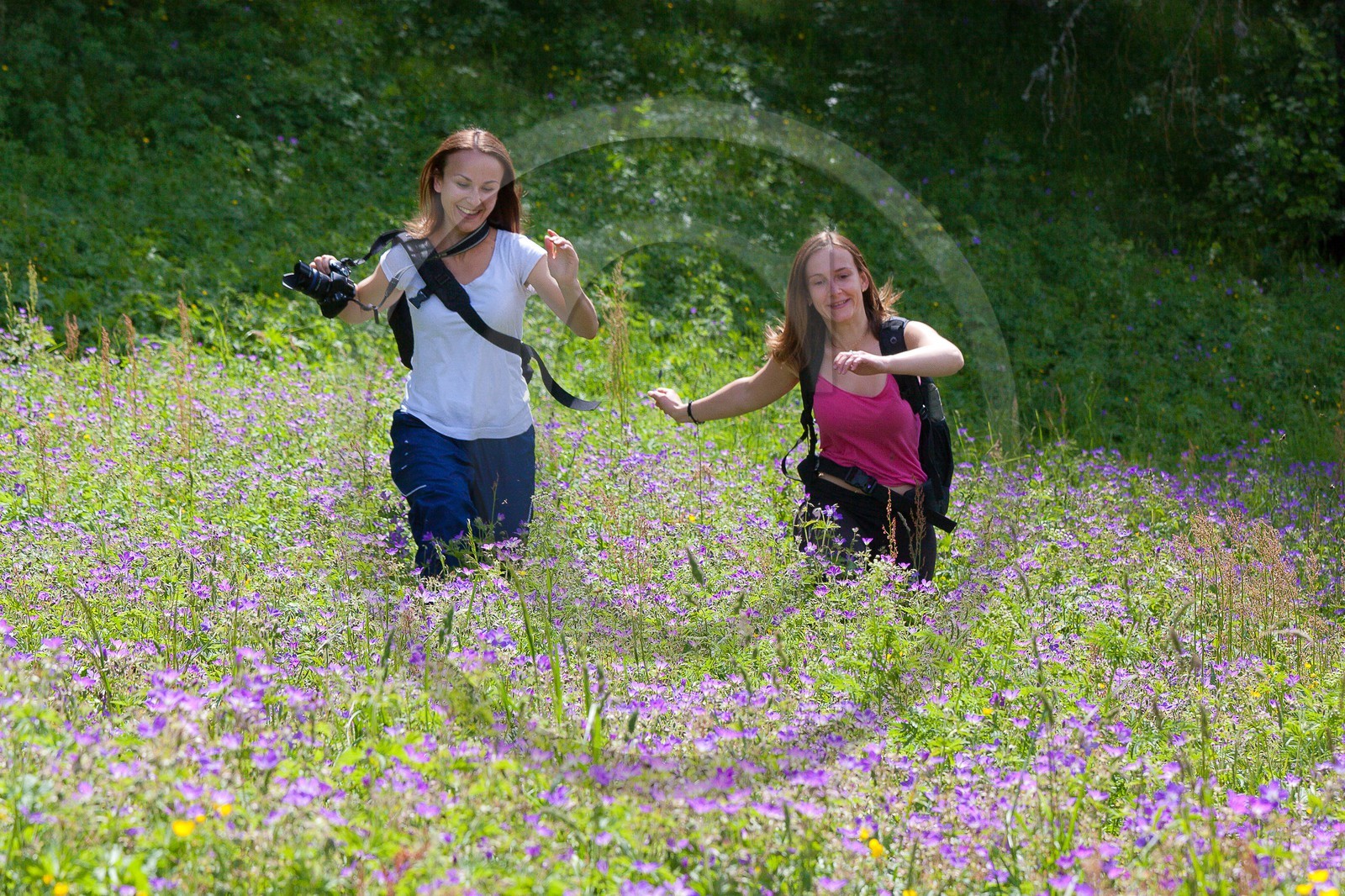 Randonnée champêtre