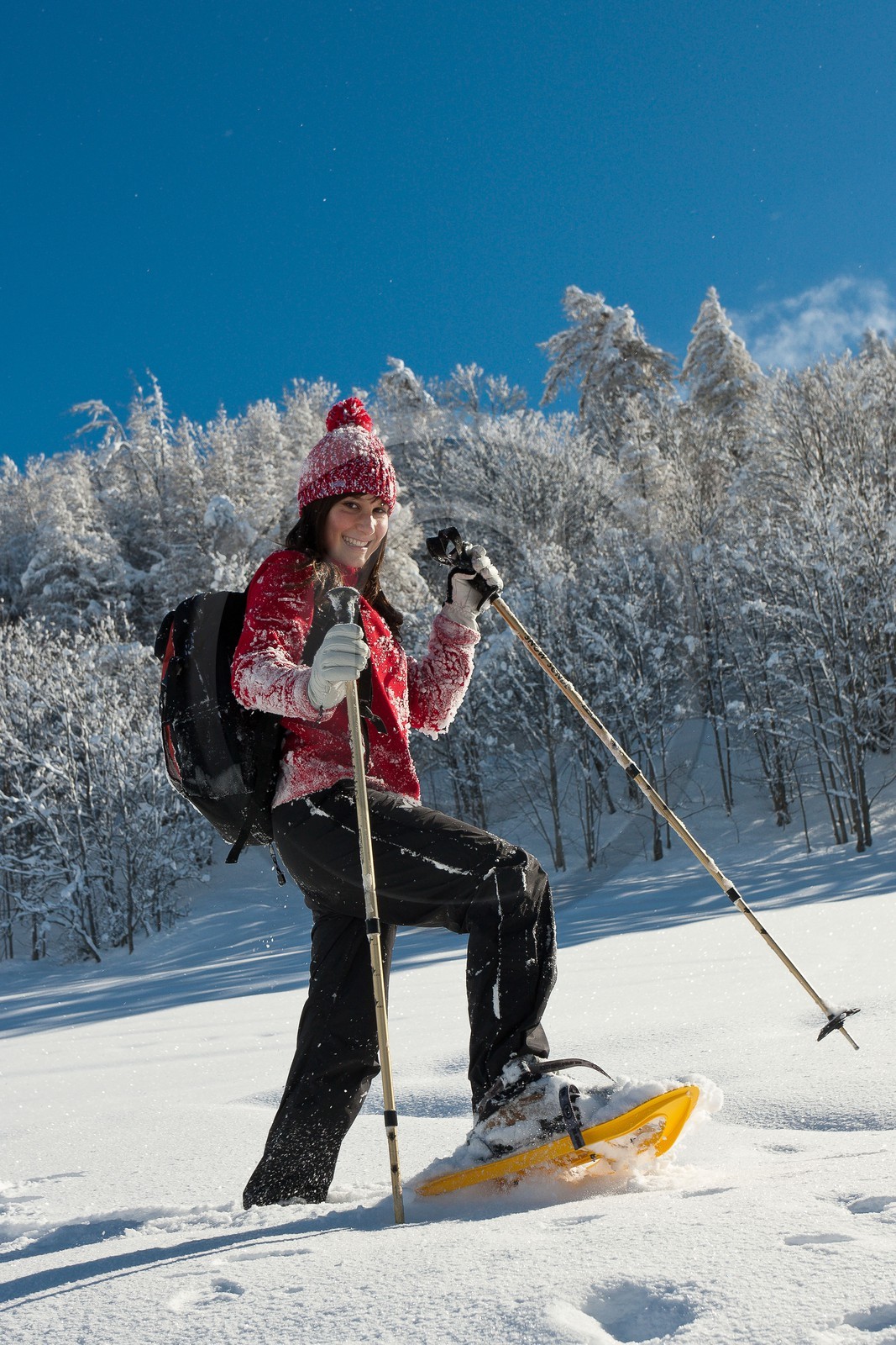 Randonnée raquettes