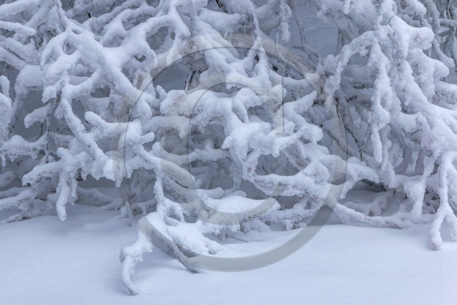 ENS de l'Isère, Les Ecouges