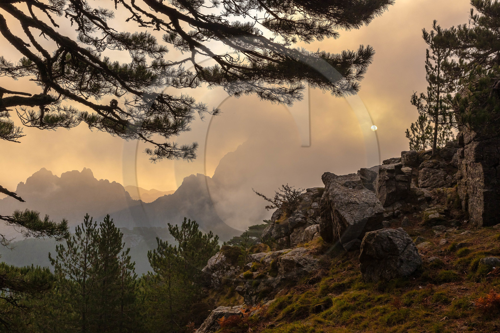 Les Aiguilles de Bavella (forchi di Bavedda )