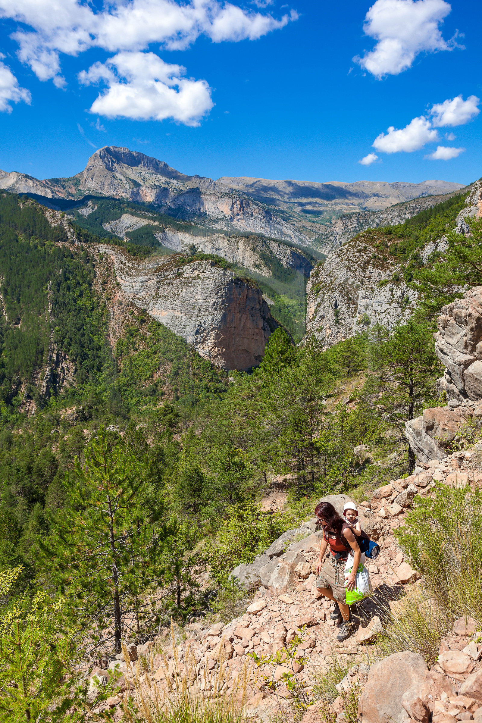 Refuge d'Art Vieil Esclangon d'Andy Goldsworthy