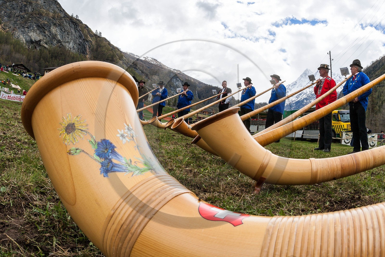 Combat de reines, Evolène, Valais Suisse
