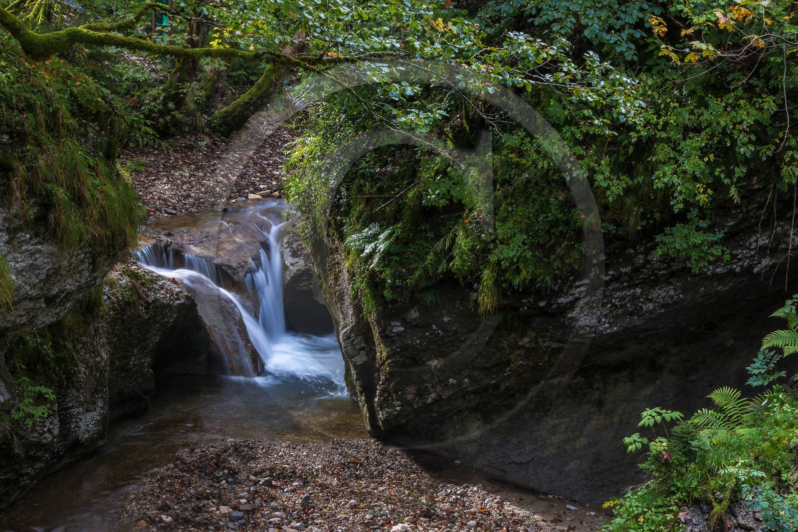 ENS de l'Isère, Les Ecouges, rivière La Drevenne