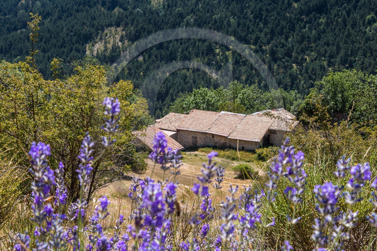 Les Monges, ferrme de Feissal