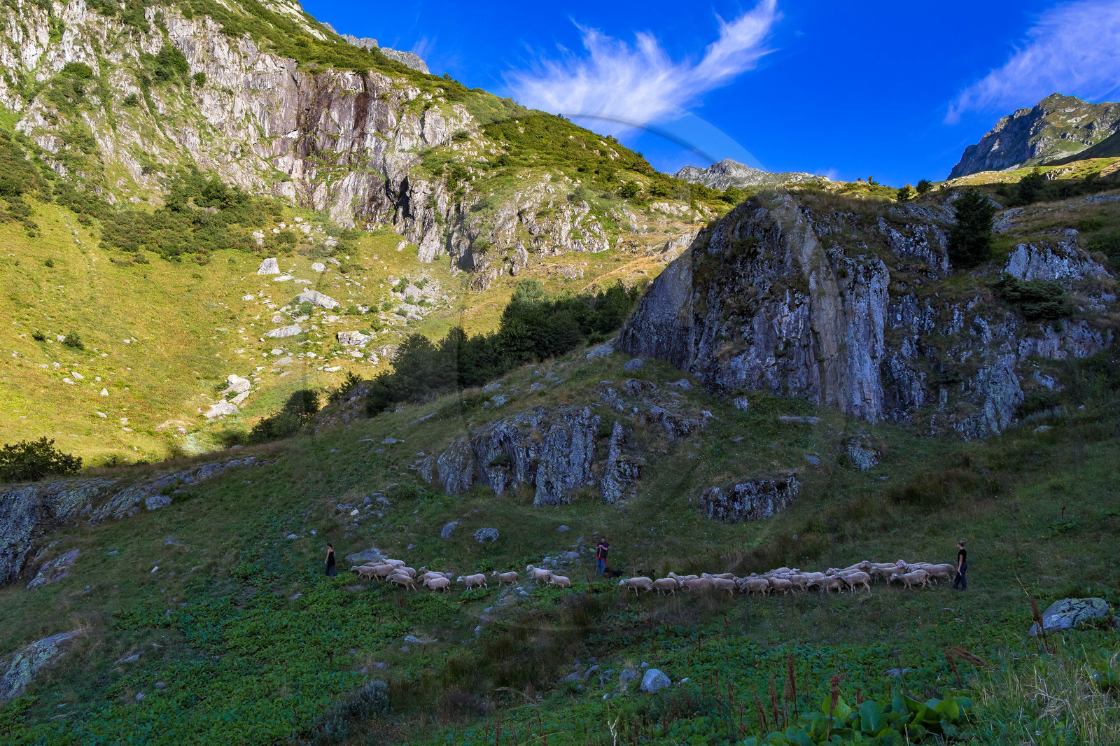 Celliers La Lèchère