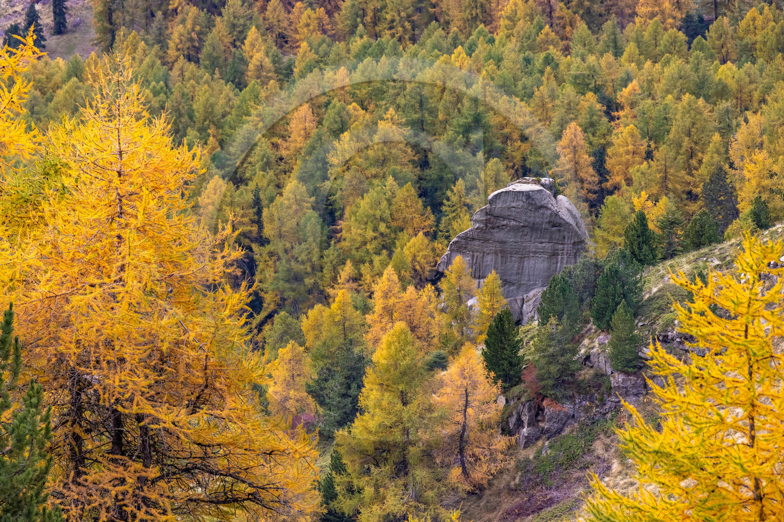 L'automne dans la Vallée du Champsaur