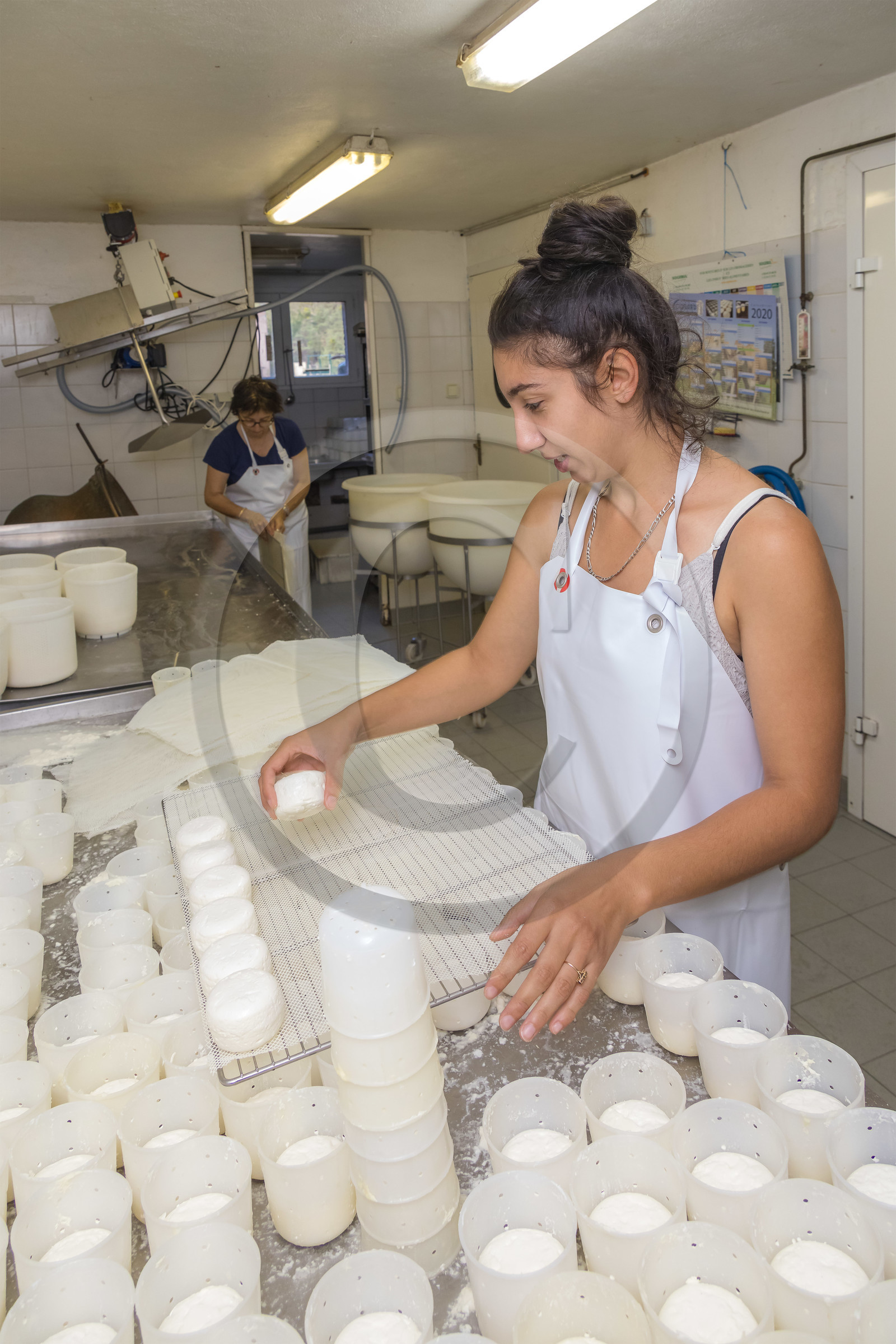 Gaec La Ferme des Ecrins