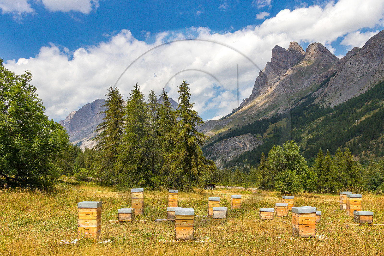 Miellerie de Serre Chevalier