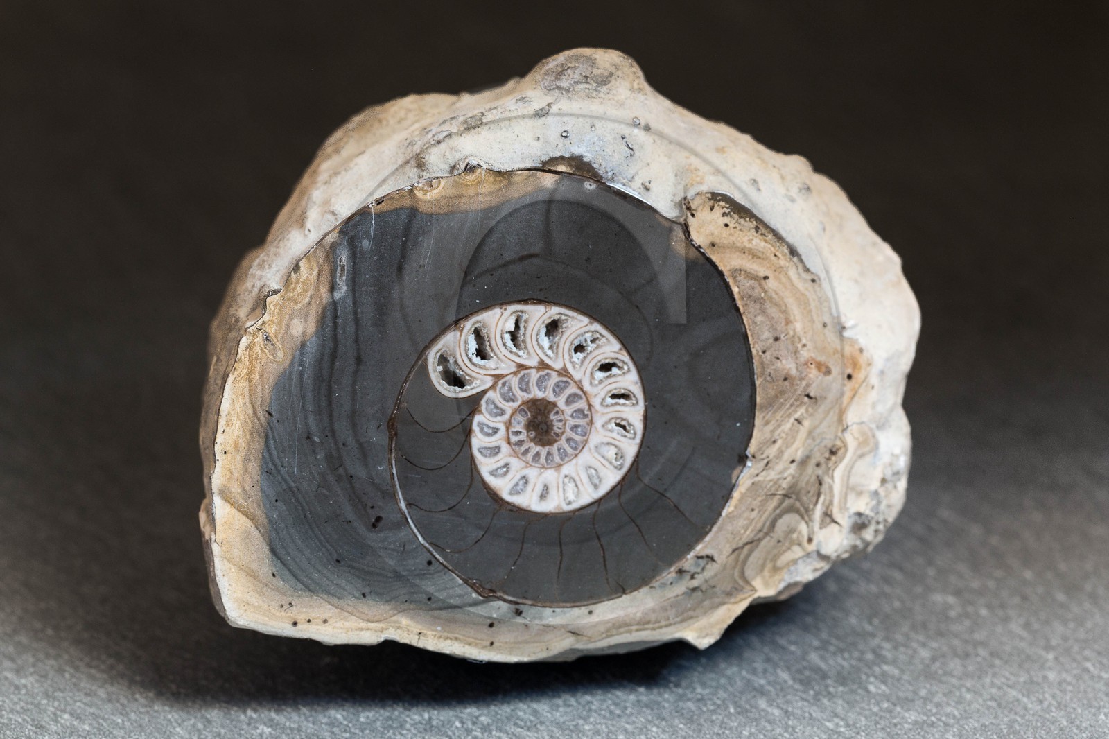 La Maison de l'Artisanat du Queyras