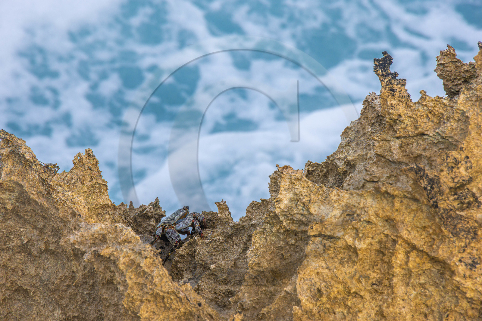 Guadeloupe, Saint-François, Pointe des Chateaux