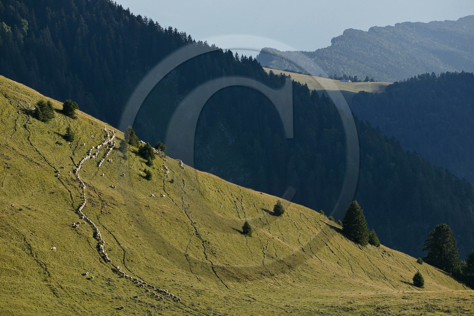 Espace naturel sensible de l'Isère, Col du Coq, alpage de Pravouta