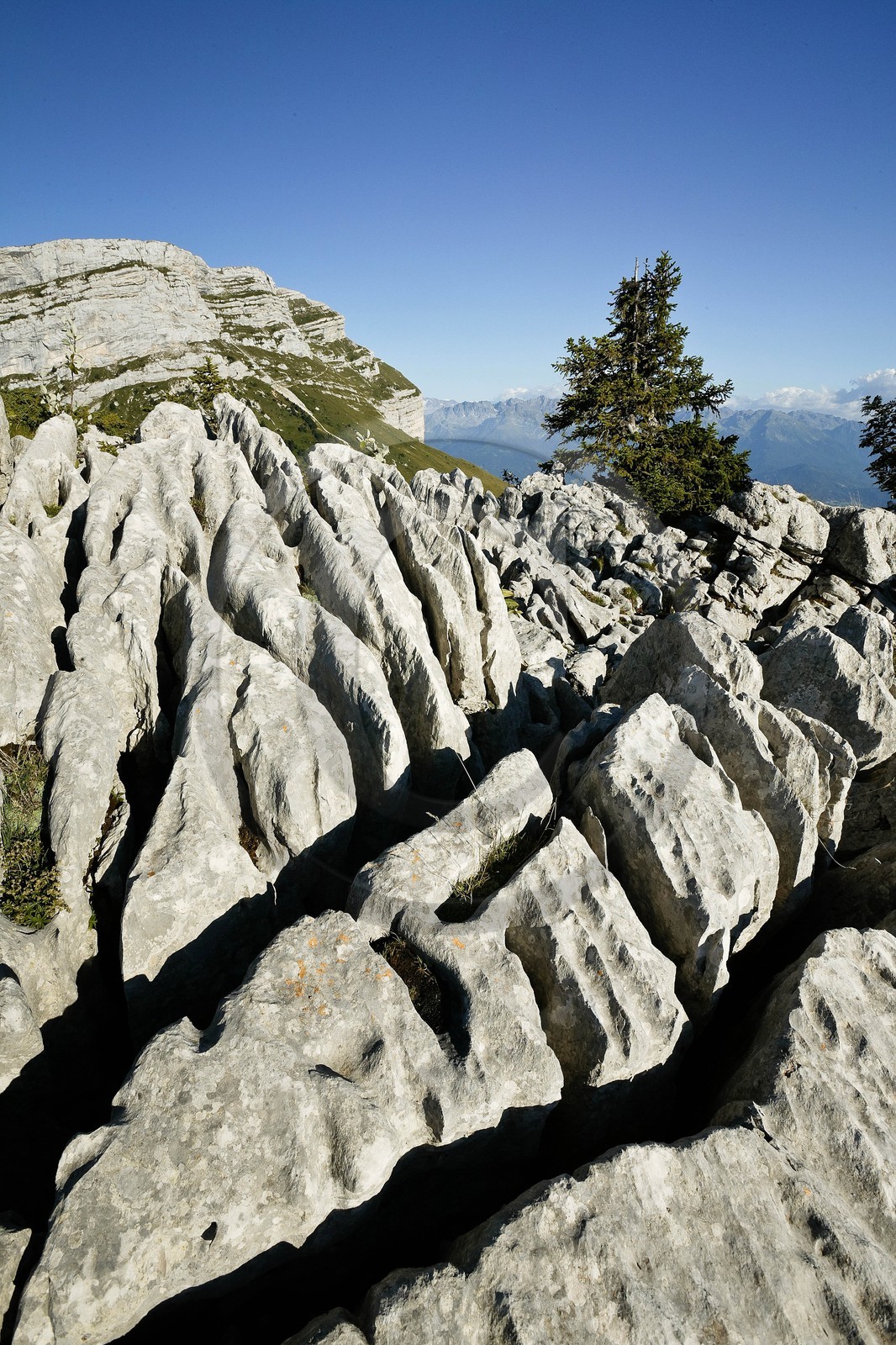 Espace naturel sensible de l'Isère, Pravouta, Lapiaz et la Dent de Crolles