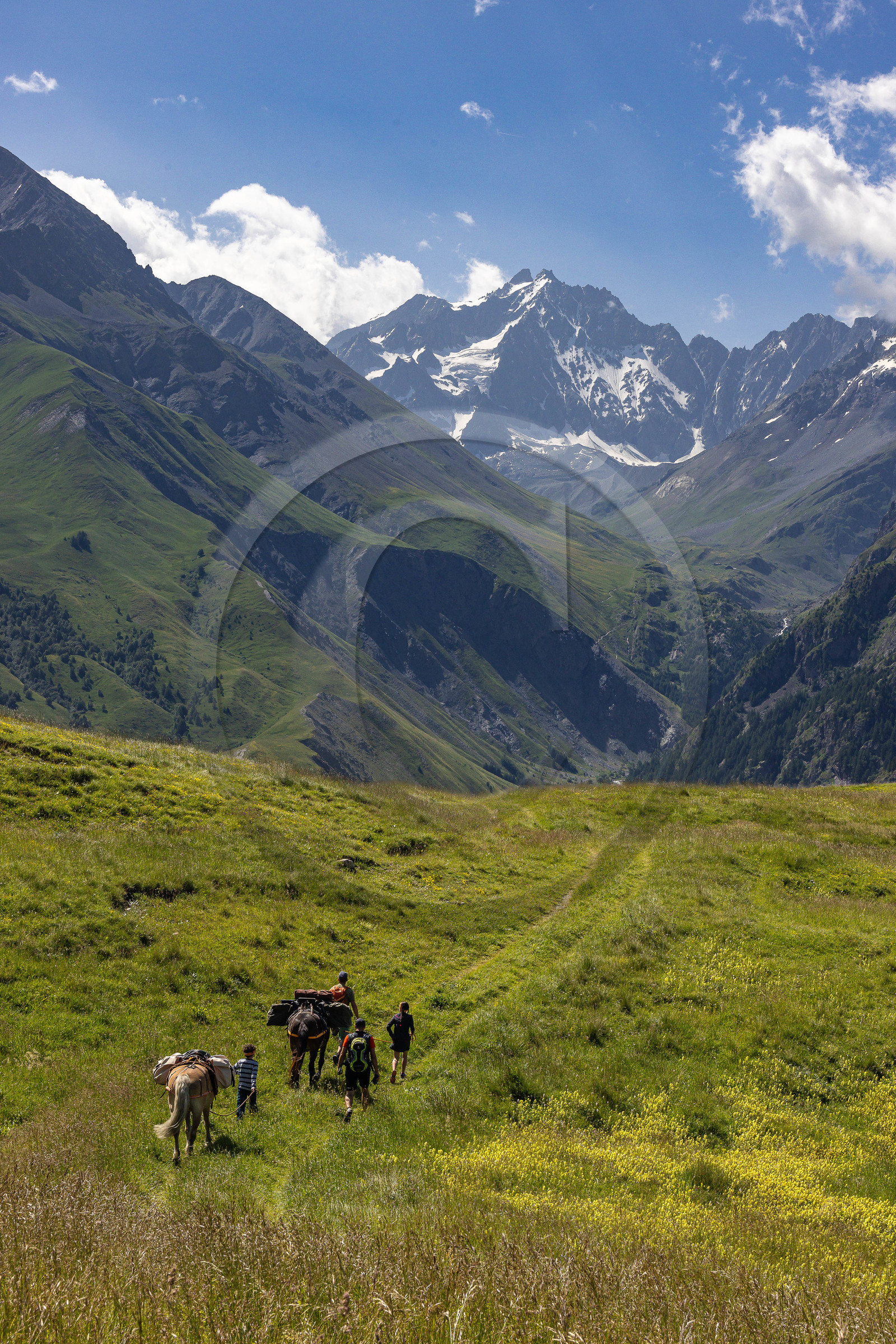 Trek famille avec animaux de bats