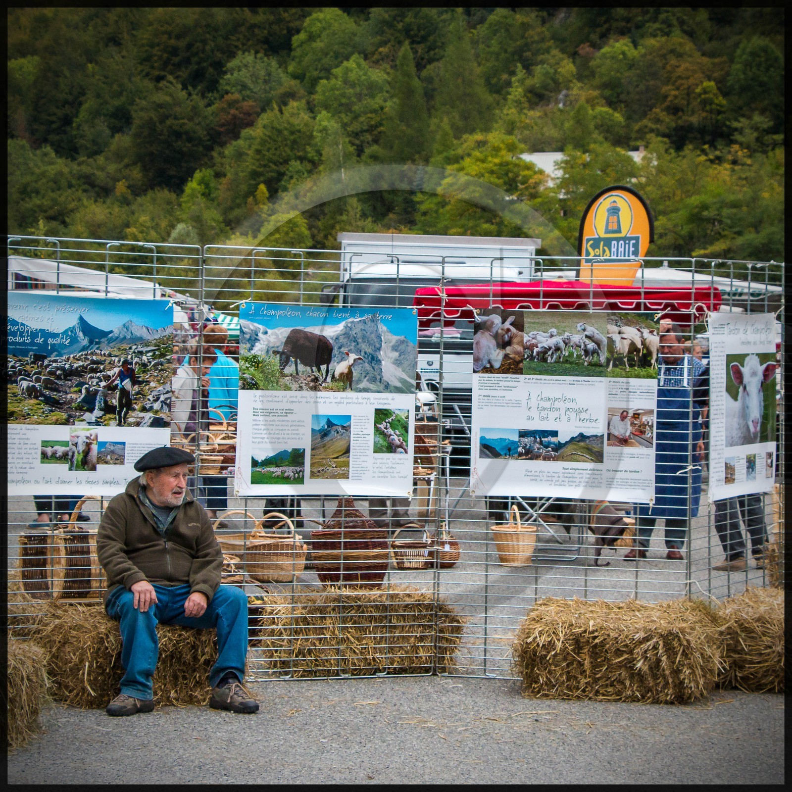 Vallée de Champoléon, Les Borels, foire au tardon