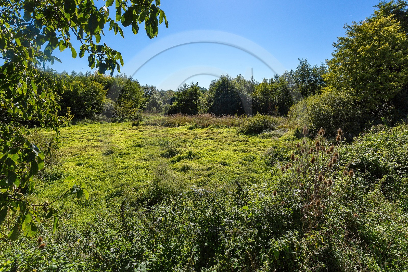 ENS de l'Isère, Les Fontaines de Beaufort