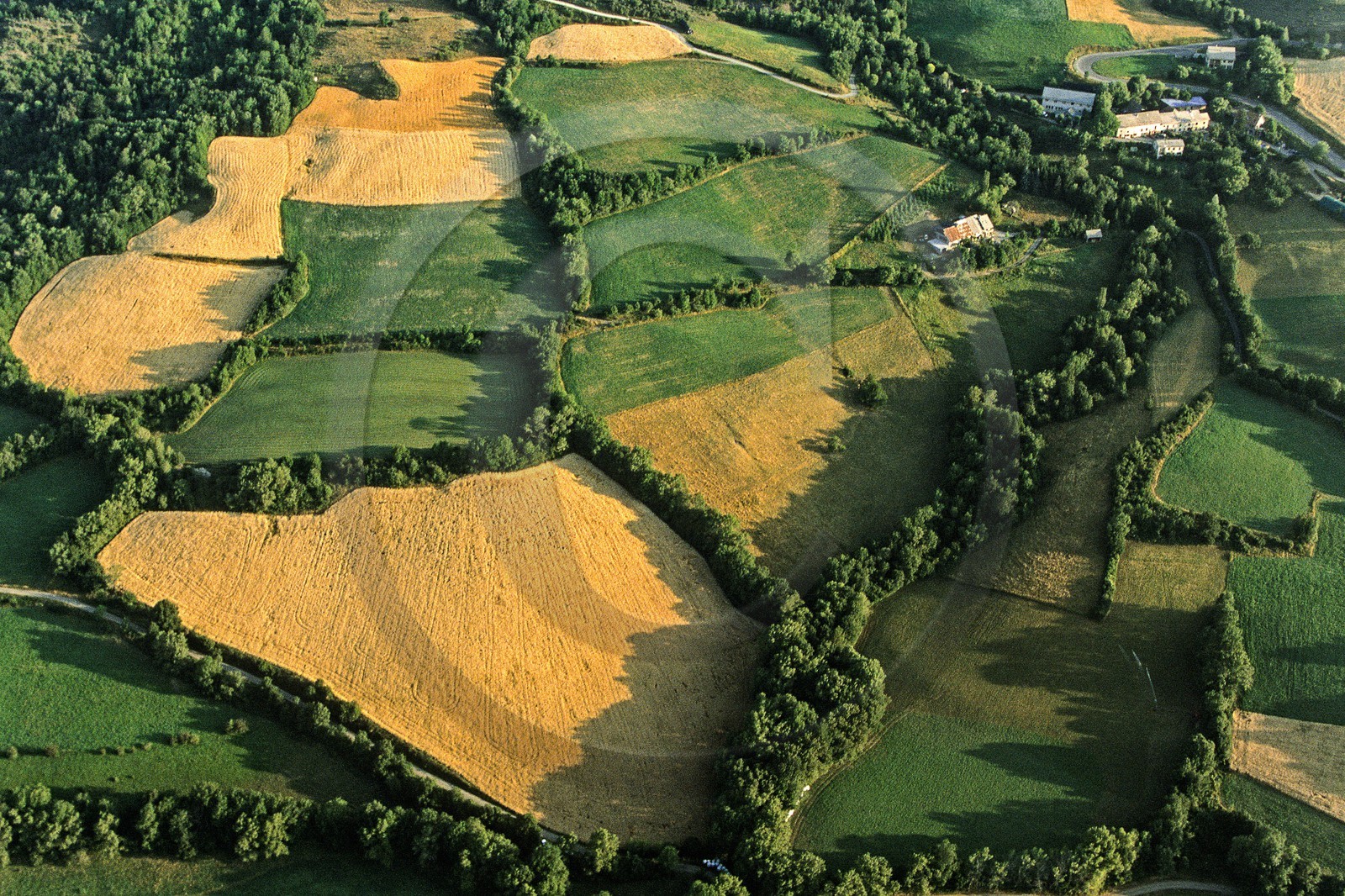 Vallée du Champsaur, le bocage