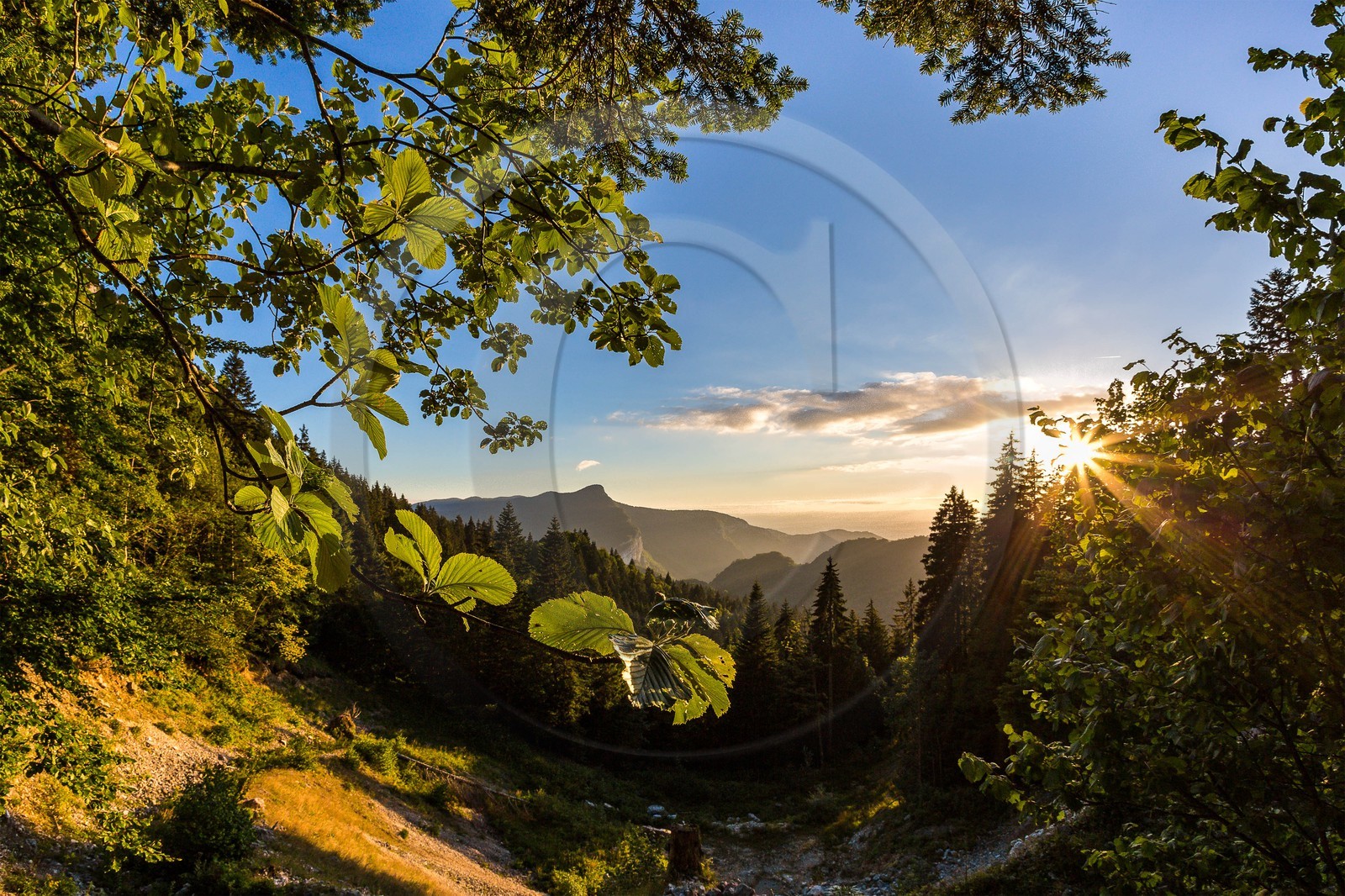 ENS de l'Isère, Les Ecouges