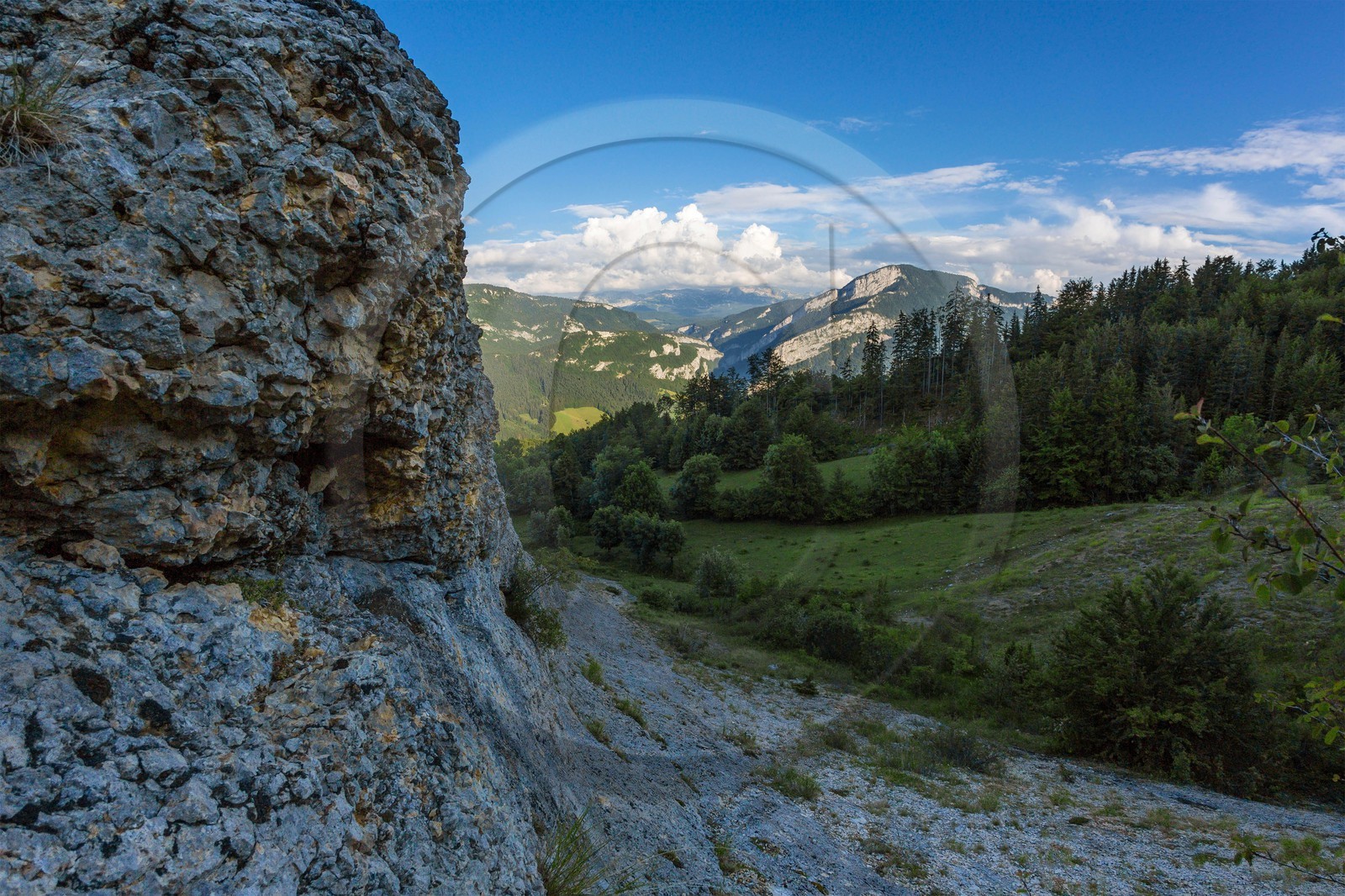 ENS de l'Isère, vallée fossile des Rimets
