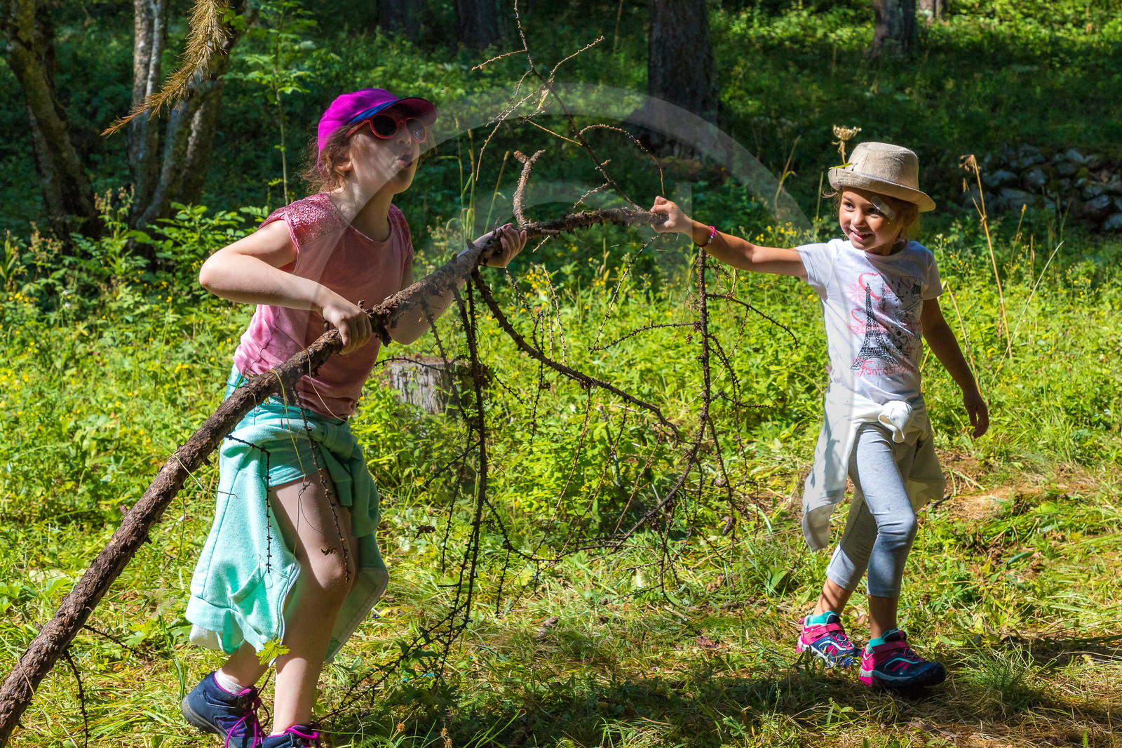 Curieux de nature, sortie découverte avec Cyril Mahout