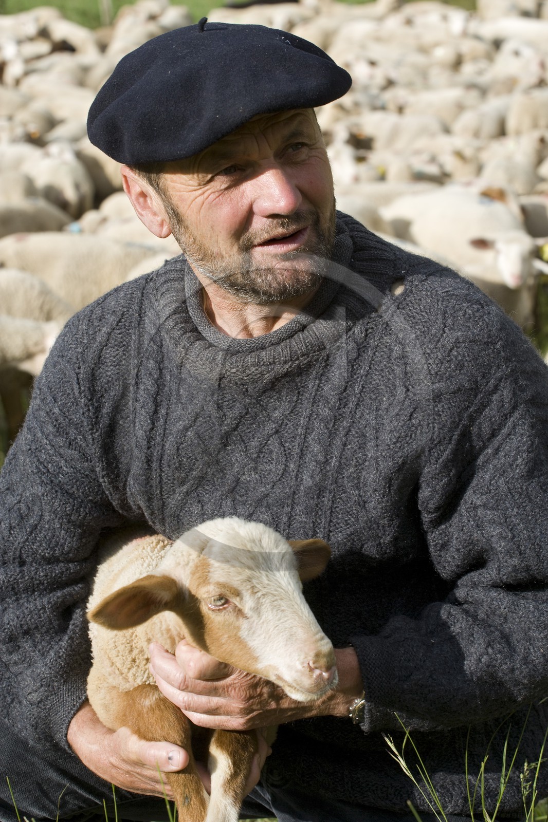 Pierre Barban, berger