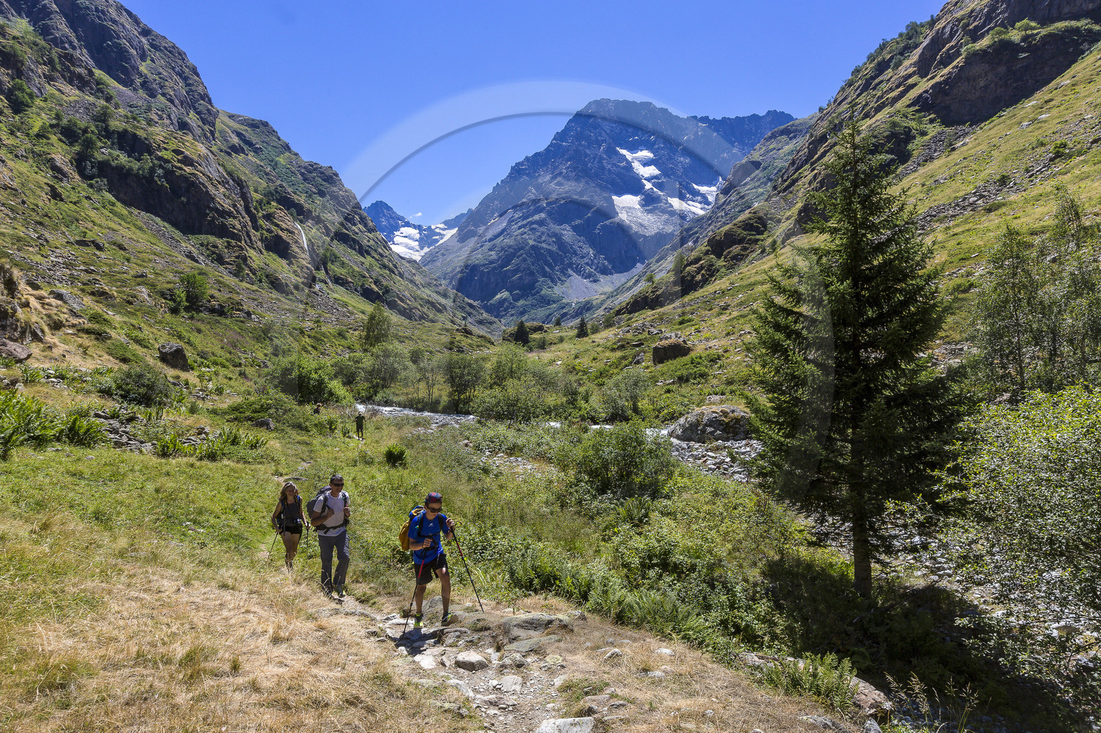 Randonnée pédestre