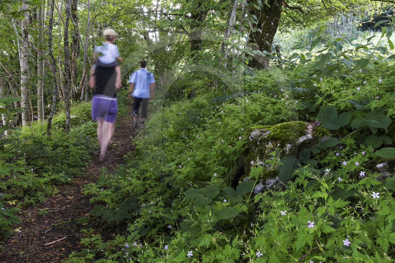ENS de l'Isère, vallée fossile des Rimets