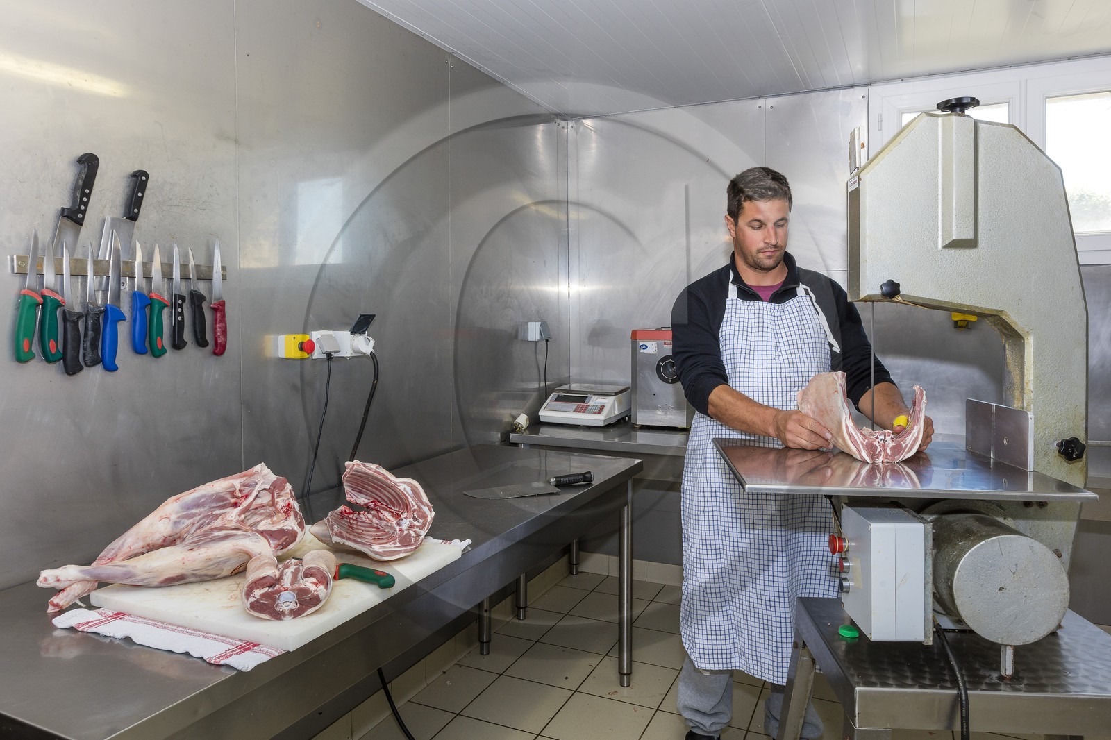 Ferme des Sonnailles, famille Pellissier