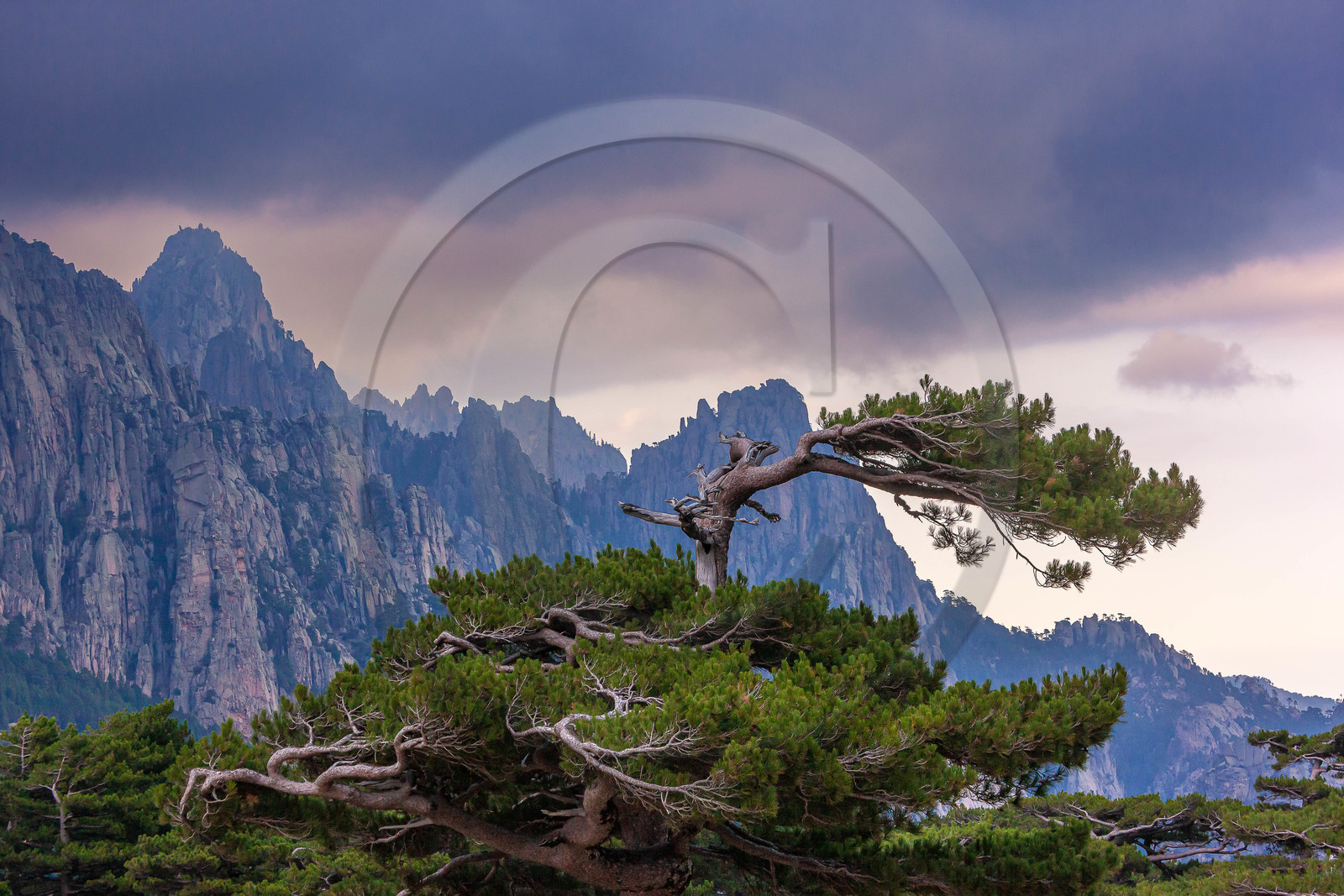 Les Aiguilles de Bavella (forchi di Bavedda )