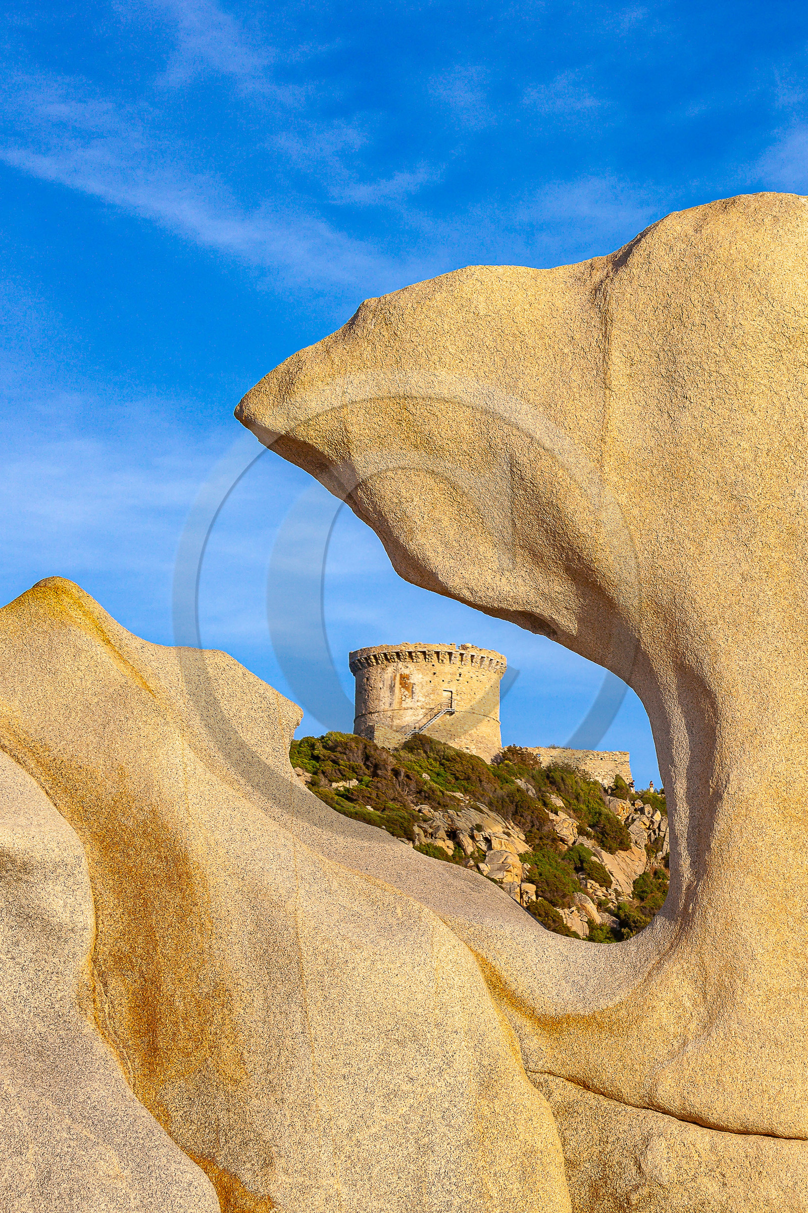 Tour génoise de Campomoro et taffoni